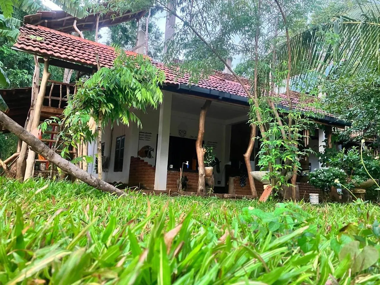 Jungle Hostel Habarana
