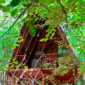 3* Resort Tree House Ambasewana